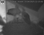 Capi_Dubne_20250415_221502.jpg