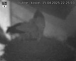 Capi_Dubne_20250415_222503.jpg
