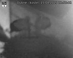 Capi_Dubne_20250415_225502.jpg