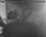 Capi_Dubne_20250415_230003.jpg