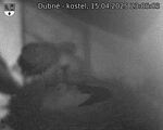 Capi_Dubne_20250415_230503.jpg