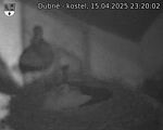 Capi_Dubne_20250415_232002.jpg