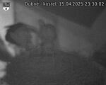 Capi_Dubne_20250415_233002.jpg