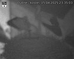Capi_Dubne_20250415_233503.jpg