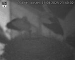 Capi_Dubne_20250415_234002.jpg