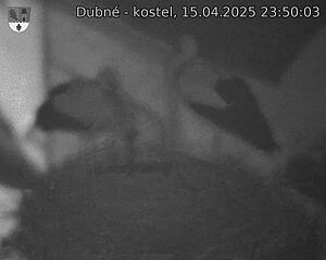 Capi_Dubne_20250415_235003.jpg (1350 x 1080)