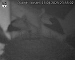 Capi_Dubne_20250415_235502.jpg