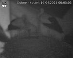 Capi_Dubne_20250416_000503.jpg