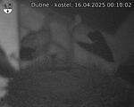 Capi_Dubne_20250416_001002.jpg