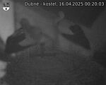 Capi_Dubne_20250416_002003.jpg