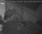 Capi_Dubne_20250416_003003.jpg