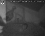 Capi_Dubne_20250416_003503.jpg