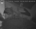 Capi_Dubne_20250416_004002.jpg