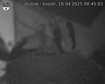 Capi_Dubne_20250416_004503.jpg
