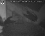 Capi_Dubne_20250416_005002.jpg