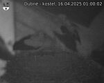Capi_Dubne_20250416_010002.jpg