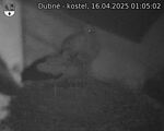 Capi_Dubne_20250416_010502.jpg