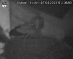 Capi_Dubne_20250416_011003.jpg