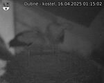 Capi_Dubne_20250416_011502.jpg