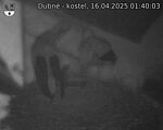 Capi_Dubne_20250416_014003.jpg