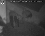 Capi_Dubne_20250416_015002.jpg