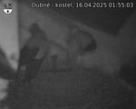 Capi_Dubne_20250416_015503.jpg