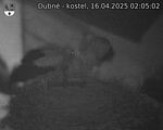 Capi_Dubne_20250416_020502.jpg