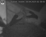 Capi_Dubne_20250416_023002.jpg