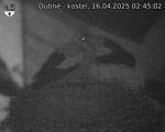 Capi_Dubne_20250416_024502.jpg