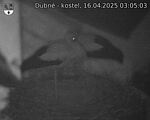 Capi_Dubne_20250416_030503.jpg
