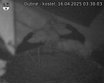 Capi_Dubne_20250416_033003.jpg
