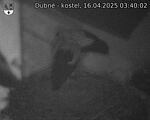 Capi_Dubne_20250416_034002.jpg