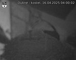 Capi_Dubne_20250416_040002.jpg