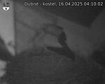 Capi_Dubne_20250416_041002.jpg