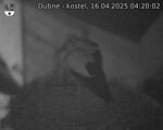 Capi_Dubne_20250416_042002.jpg