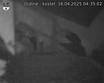Capi_Dubne_20250416_043502.jpg