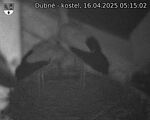 Capi_Dubne_20250416_051502.jpg