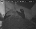 Capi_Dubne_20250416_052002.jpg