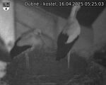 Capi_Dubne_20250416_052503.jpg