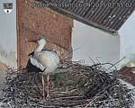 Capi_Dubne_20250416_075502.jpg