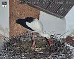 Capi_Dubne_20250416_081003.jpg