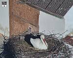 Capi_Dubne_20250416_081504.jpg