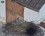 Capi_Dubne_20250416_090003.jpg