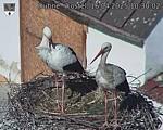 Capi_Dubne_20250416_103002.jpg