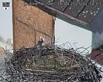 Capi_Dubne_20250416_113003.jpg