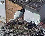 Capi_Dubne_20250416_131502.jpg