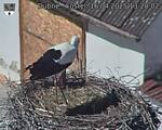 Capi_Dubne_20250416_132002.jpg