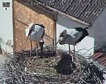 Capi_Dubne_20250416_141503.jpg