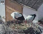 Capi_Dubne_20250416_154003.jpg