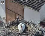 Capi_Dubne_20250416_161003.jpg